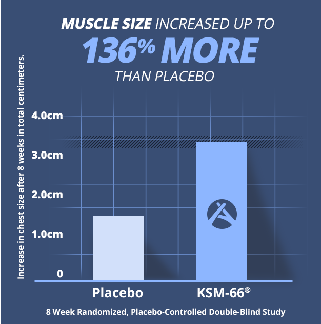 testform x ingredients - ksm-66 increases muscle size