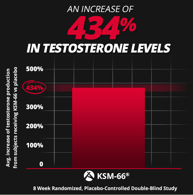 testform x ingredients - ksm-66 increases testosterone