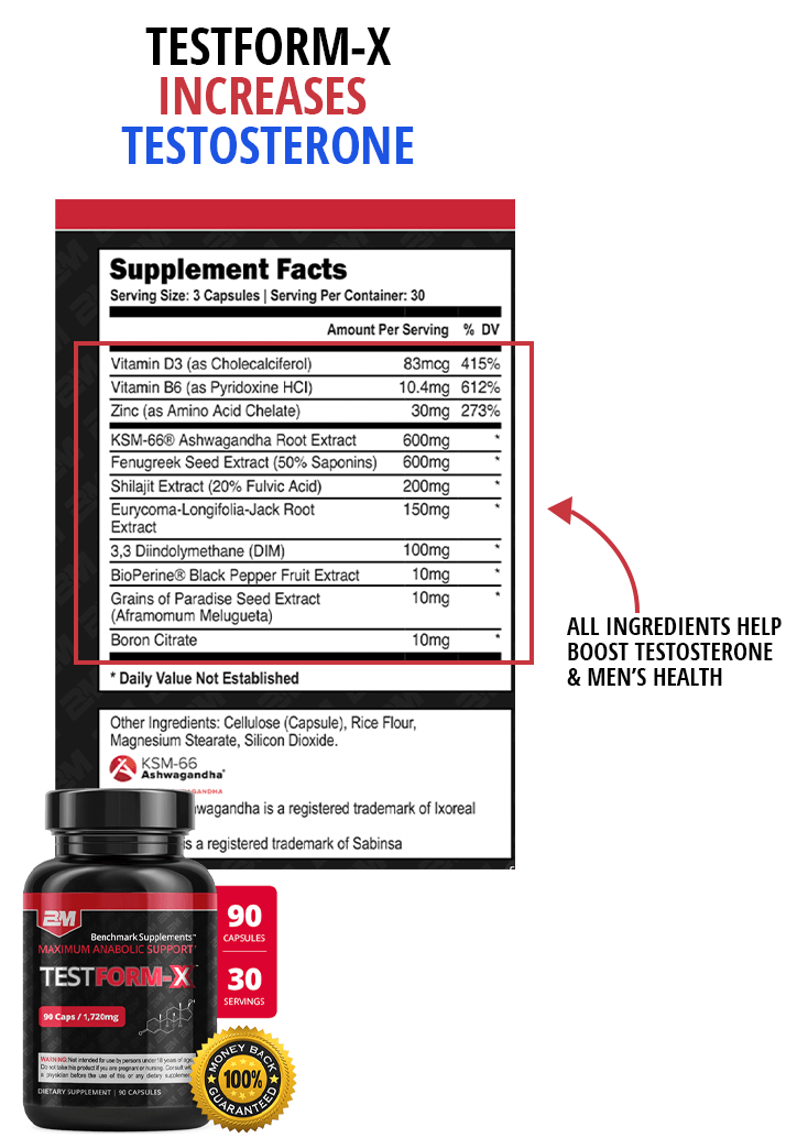 TestForm-X ingredients